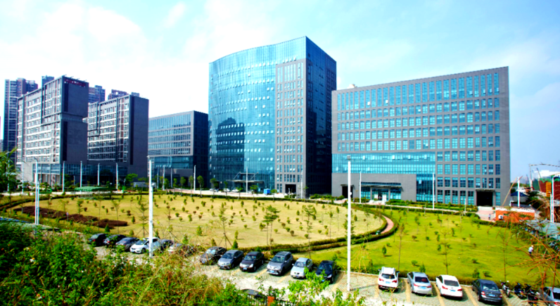 2025南京出国留学规划服务对比：中介机构与独立顾问怎么选